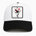 BWR · BLOOM
